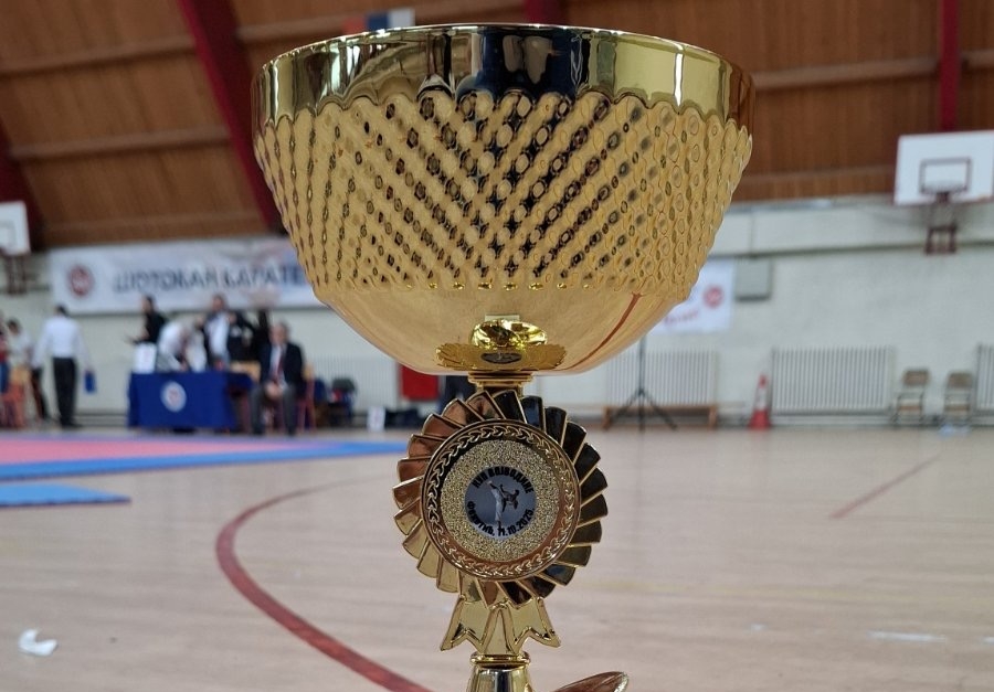 Karatisti Spartaka sa Kupa Vojvodine u Feketiću doneli 86 medalja