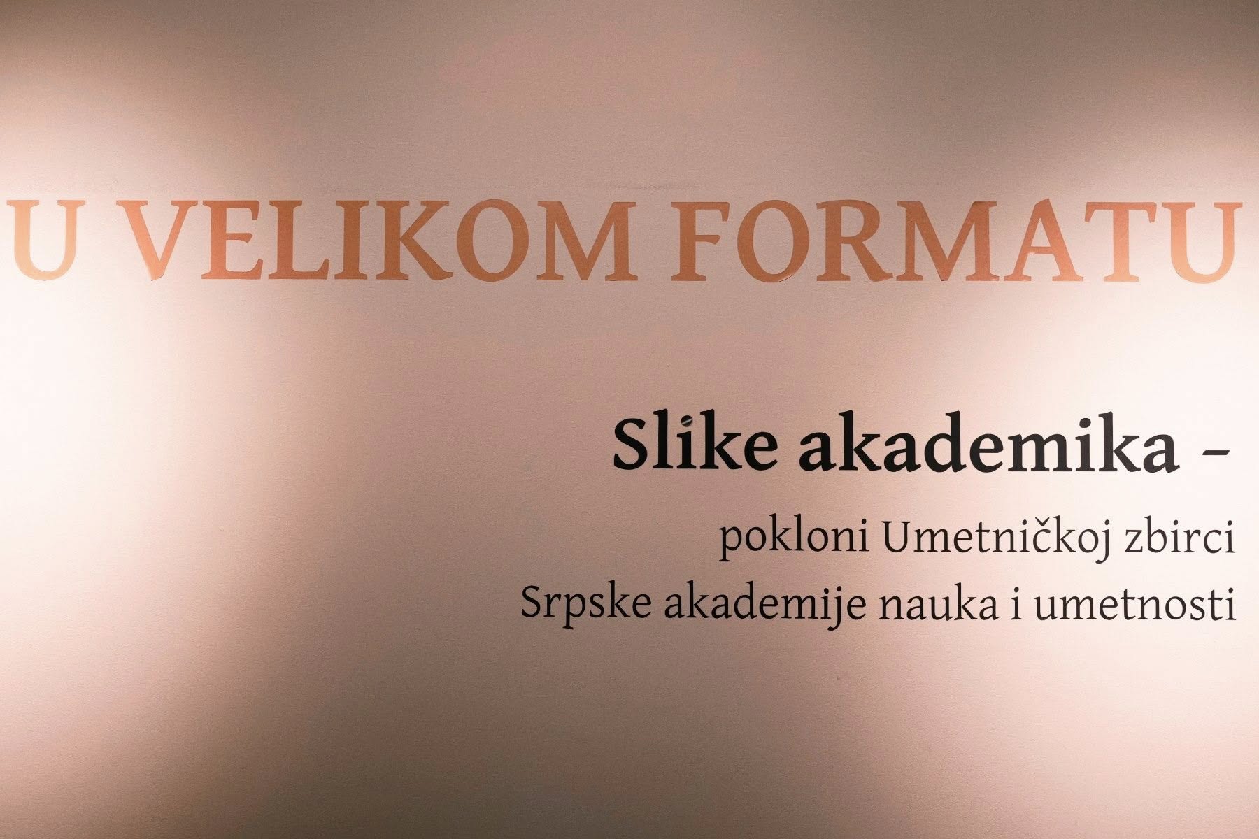 Svi radovi u kolekciji poklon umenika ili porodice umetnika